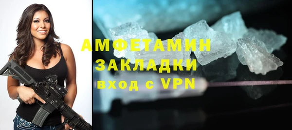 сатива Кукмор