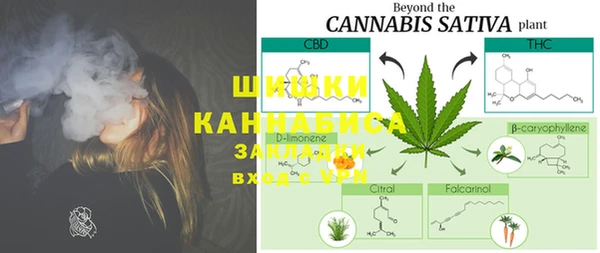сатива Кукмор