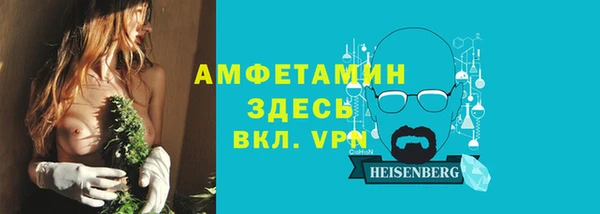 сатива Кукмор