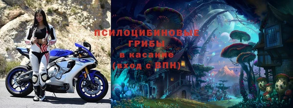 сатива Кукмор