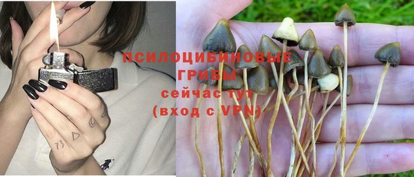 тгк Кулебаки