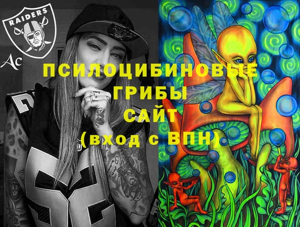 тгк Кулебаки