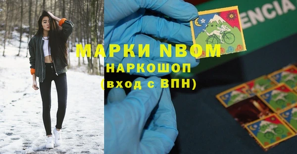 сатива Кукмор